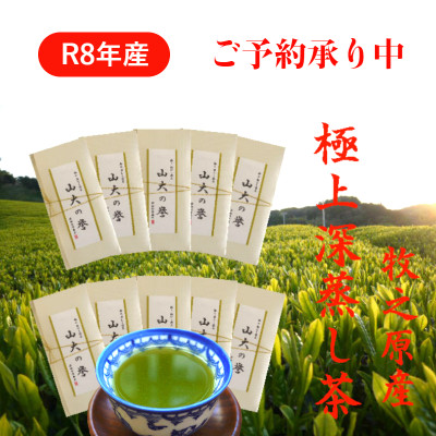 牧之原産 極上深蒸し煎茶「山大の誉」100g×10袋セット