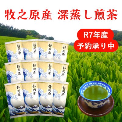 牧之原産深蒸し煎茶「白富士」12袋セット