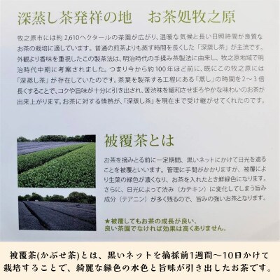 牧之原産かぶせ茶「望」金印 5袋セット