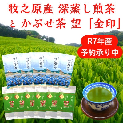 牧之原産深蒸し茶「牧之原の雫」と かぶせ茶「望 金印」 計11袋詰合せ