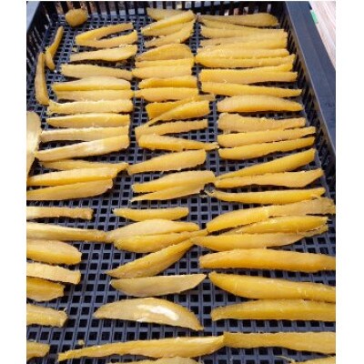 静岡県産干し芋スティック　170g入り×9袋