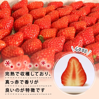 冷凍いちご丸ごと2キロ入り*紅ほっぺ*(1kg×2袋)