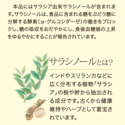 【さとふる限定】お茶の荒畑園　サラシア入りのほうじ茶(3g×30ティーバッグ)【機能性表示食品】