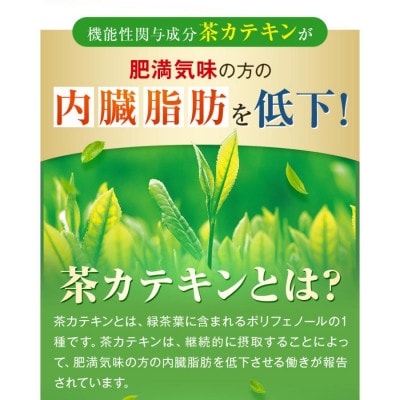 お茶の荒畑園　たっぷりカテキン緑茶ティーパック(2g×30ティーバッグ)3袋セット【機能性表示食品】