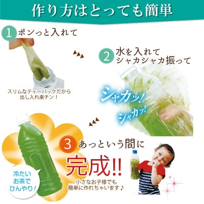 【さとふる限定】ペットボトル用100包　ブランド茶望銀印TP(3.3g×20包)×5袋セット