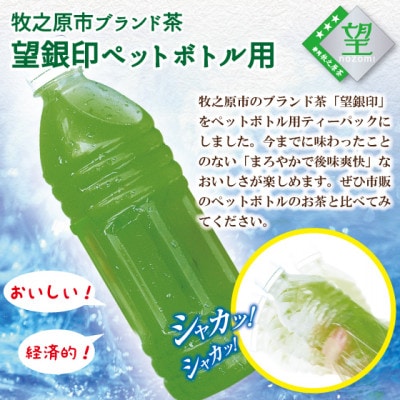 【さとふる限定】ペットボトル用100包　ブランド茶望銀印TP(3.3g×20包)×5袋セット