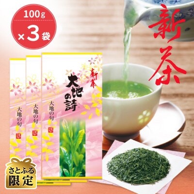 【さとふる限定】【5月上旬より順次発送】荒畑園　【新茶】大地の旬(100g)×3袋セット【受付中】