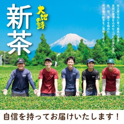 【さとふる限定】【5月上旬より順次発送】荒畑園　【新茶】大地の旬(100g)×3袋セット【受付中】