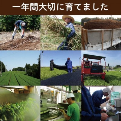 【さとふる限定】【新茶】静岡茶　お茶の荒畑園　一作(50g)【予約受付中】