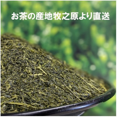 【袋わけあり】牧之原深蒸し茶合計1.2kg