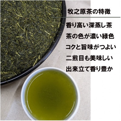 【袋わけあり】牧之原深蒸し茶合計1.2kg