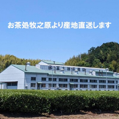 【袋わけあり】牧之原深蒸し茶合計1.2kg