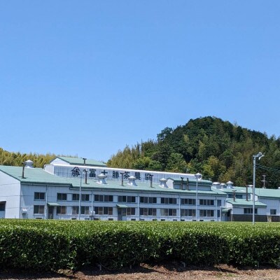 深蒸し茶　味くらべ三種