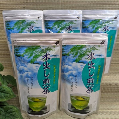 一年中おすすめ　水出し煎茶ティーバッグ