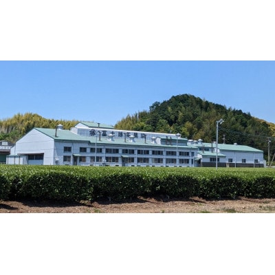 一年中おすすめ　水出し煎茶ティーバッグ