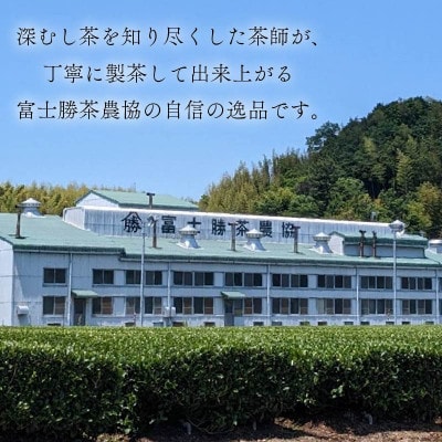 一年中おすすめ　水出し煎茶ティーバッグ