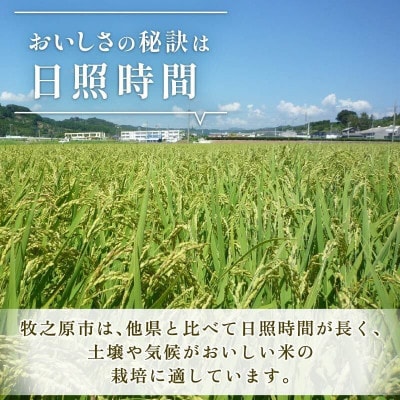 【新米 先行予約】 5kg 令和8年産 にじのきらめき 訳あり 11月より順次発送予定