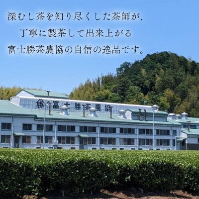 【袋わけあり】牧之原深蒸し茶 500g