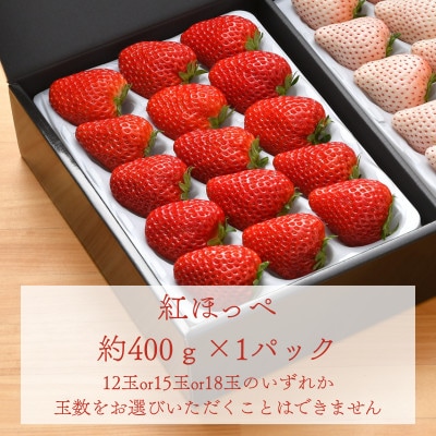 高級紅白いちご　約400gパック×2　白いちご『SweetMikBerry』　赤いちご『紅ほっぺ』