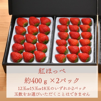 厳選紅白いちご　約400gパック×4　白いちご『SweetMikBerry』　赤いちご『紅ほっぺ』