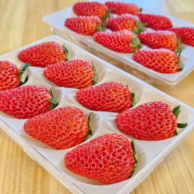 紅ほっぺ　約200g×2パック(計約400g)　静岡県牧之原市産