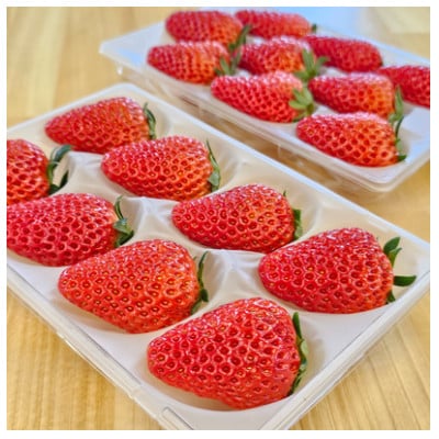 紅ほっぺ　200g以上×2パック(計400g以上)　静岡県牧之原市産