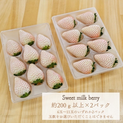 白いちご『Sweet milk berry』200g以上×2パック(計400g以上)静岡県牧之原市産