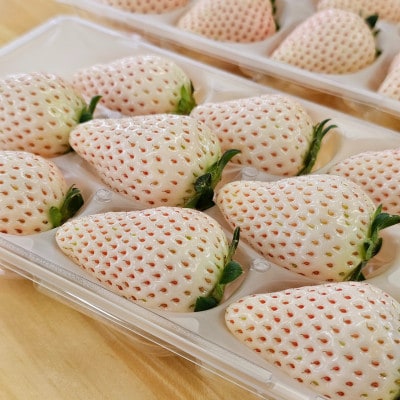 白いちご『Sweet milk berry』200g以上×2パック(計400g以上)静岡県牧之原市産