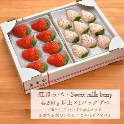 紅白いちご・おうちで楽しむ2色食べ比べセット　静岡県牧之原市産200g×2パック　(計400g以上)