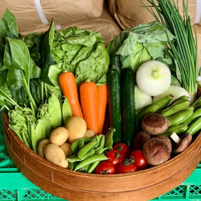 【12品】畑から採りたて発送!静岡厳選野菜セット