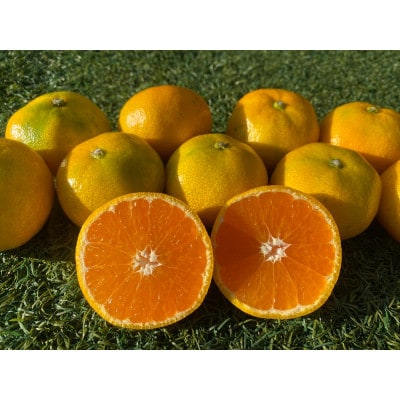 みかん(2kg)と採りたて野菜(5品)セット