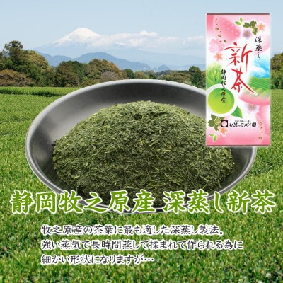 摘みたて!深蒸し新茶100g×18本 プレゼントに出来る包装袋セット お茶処静岡県牧之原から直送