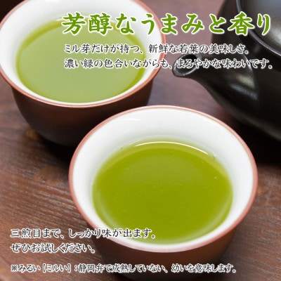 摘みたて!特上深蒸し新茶100g×3本 プレゼントに出来る包装袋