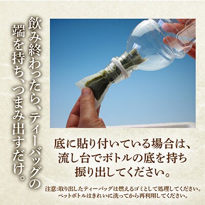 細なが～いアイデア緑茶ティーバッグ 500ml緑茶が180本作れるセット