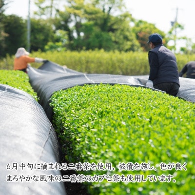牧之原茶農家の自家用深蒸し茶 200g×5袋 静岡県牧之原市産