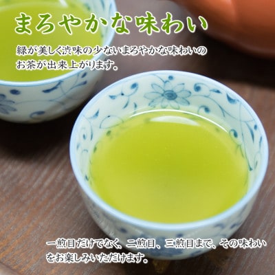 摘みたて!深蒸し茶100g×9本 包装袋3枚セット　静岡県 牧之原産 深蒸し緑茶