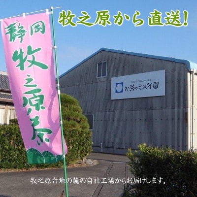 牧之原茶農家の自家用深蒸し茶 200g×3袋 静岡県牧之原市産