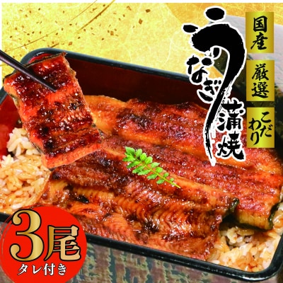 国産　鰻蒲焼3尾(たれ・山椒付き)