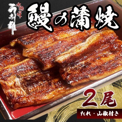 国産　鰻蒲焼2尾(たれ・山椒付き)