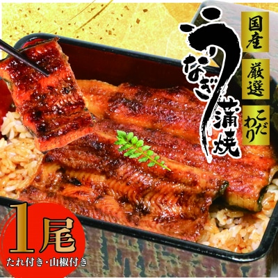 国産　鰻蒲焼1尾(たれ・山椒付き)