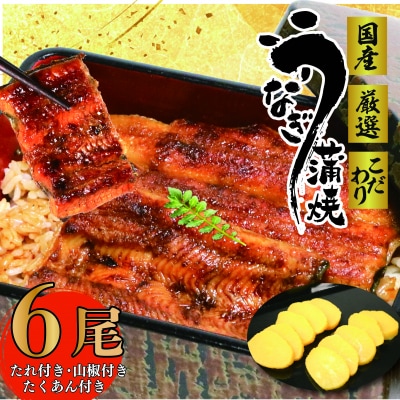 国産　鰻蒲焼6尾(たれ・山椒付き)