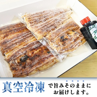 国産【贈答用】鰻蒲焼2尾　真空冷凍(たれ・山椒付き)