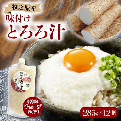 味付けとろろ汁【チューブタイプ】285g×12パック