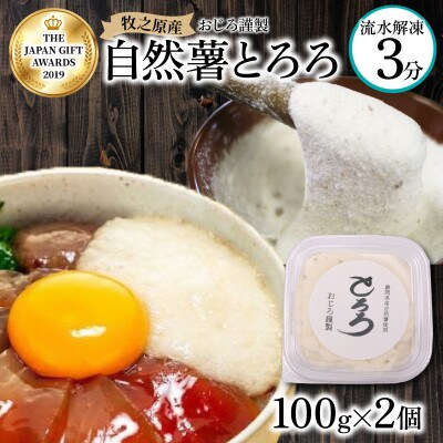 とろろ 牧之原産自然薯100% 100g×2パック
