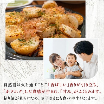 【下処理済み】~海と山に囲まれた自然豊かな大地で育った~ 牧之原産自然薯 じねんじょ 900g