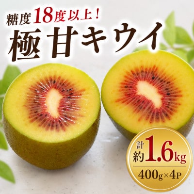 【先行受付】糖度18度!希少品種　極甘キウイ　レッドキウイ　400g×4パック