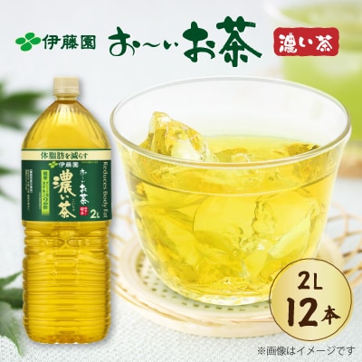 【機能性表示食品】伊藤園 お～いお茶濃い茶 PET 2L×12本(2ケース)【複数個口で配送】