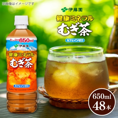 伊藤園 健康ミネラルむぎ茶 PET 650ml×48本(2ケース)【複数個口で配送】