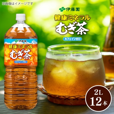 伊藤園 健康ミネラルむぎ茶 PET 2L×12本(2ケース)【複数個口で配送】