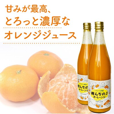 「いたくら農園」のクラフトジュースは甘みが最高!みかんジュース 720ml×2本 静岡県牧之原市